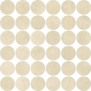 Boost Expression Camel Mosaico Circle