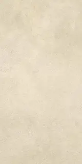 Boost Expression Camel 30x60