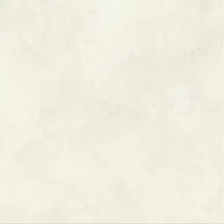 Boost Expression Glow 60x60