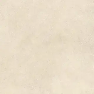 Boost Expression Shell 60x60