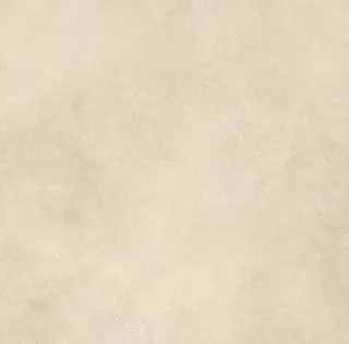 Boost Expression Camel 60x60