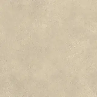 Boost Expression Tan 60x60