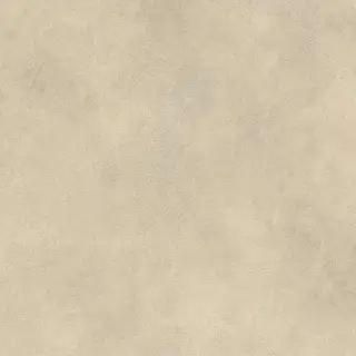 Boost Expression Tan 80x80