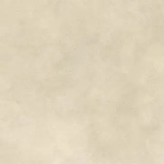 Boost Expression Camel 80x80