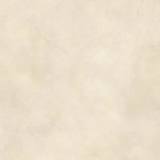 Boost Expression Shell 80x80