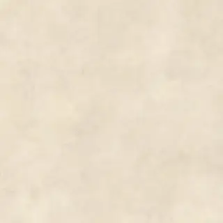 Boost Expression Shell 120x120