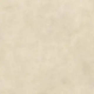 Boost Expression Camel 120x120