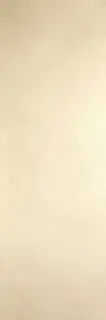 Blend Avorio 100х300 5