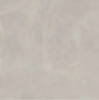 Italon Керамический гранит Continuum Керамогранит Silver 120x120 натуральный