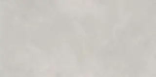 Newport Gris Matt 60x120
