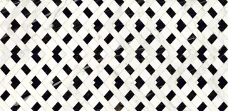 Carrara Giola Decor Polished 60x120