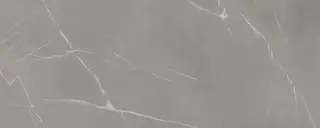 In Side Pietra Piasentina Grigio Fiammato 5.6 Mm 120x300