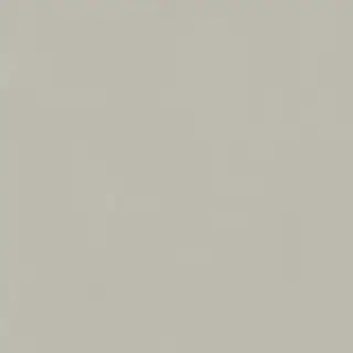 Italon Керамический гранит Forum Керамогранит Slim Silver 80x80 натуральный