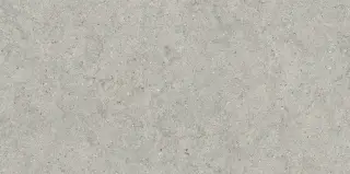 Italon Керамический гранит Forum Керамогранит Stone Silver 60x120 натуральный