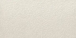 NISUS NEVE RECT 60X120