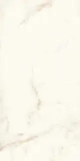 Marvel Calacatta Delicato Lappato|60x120