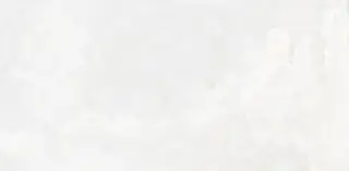 Invictus White Polished 60x120