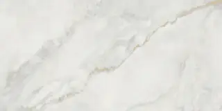 Ornato Wave Carving 60x120