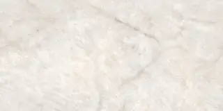 Carnico White Polished 60x120