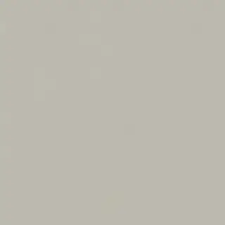 Italon Керамический гранит Forum Керамогранит Slim Silver 120x120 натуральный