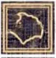 Вставка Versace Eterno Angolo Medusa Oro Carbon 10×10 см