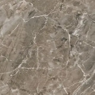 Напольная плитка Gardenia (Versace) Marble Grigio onice Lap 240016 58.5×58.5 см