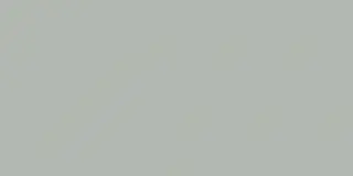 Exotic Olive 60x120 Matt