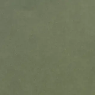 Levels Forest Matt 20x20