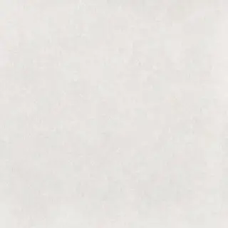 Levels White Matt 20x20