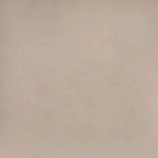 Levels Birch Matt 20x20