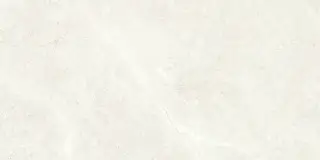 PALERMO BONE 60X120 REC.