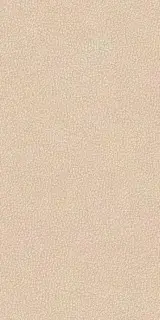 LEATHERWOOD CUIR BEIGE NAT.3D 60X120 8,5 мм