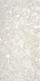 CEPPO DI GRÉ LIGHT GREY MT 60X120