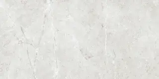 PALERMO GRIS  60X120X9 REC.