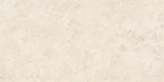 Спастоун Кампосперо Матовый 60x120