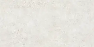 Керамогранит TZ612NTT9501L Terrazzo 60x120