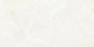 Керамогранит NTT99504P Onyx Predo 60x120