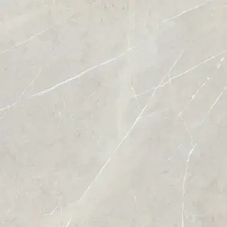 Керамогранит BB6NTT9101P Bright And Shiny 60x60