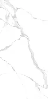 Керамогранит NTT3004P Bianco Carrara 120x240