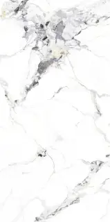 Керамогранит NTT3310P Breccia Bianco 120x240