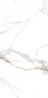 Керамогранит NTT3000M Carrara Gold Mat 120x240