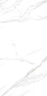 Керамогранит NTT3009M Statuario Mat 120x240