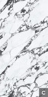 Керамогранит NTT3013P (C) Tantai Jin Demon 120x240