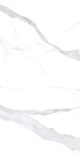 Керамогранит NTT3008P Bianco Statuario 120x240