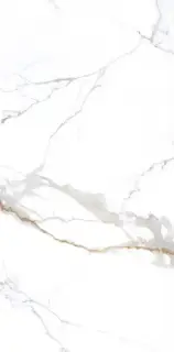 Керамогранит NTT3001P Carrara Gold 120x240