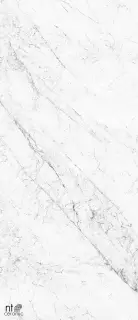 Керамогранит NTT3602C Carrara Elite 120x280