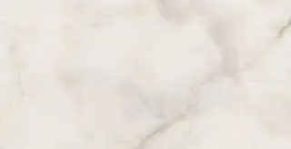 Керамогранит NTT9355DS Onyx Future Digital Satin 60x120
