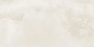 Керамогранит NTT9356DS Onyx History Digital Satin 60x120