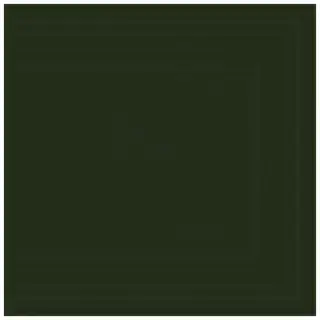 La Diva Alessandra Alessandra 02 Quadrato Menta L 40x40