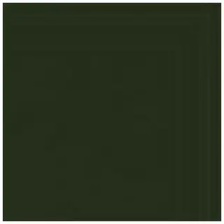 La Diva Alessandra Alessandra 05 Quadrato Menta S 40x40